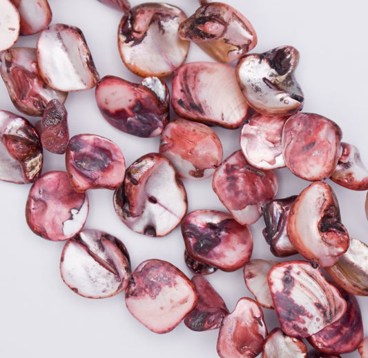 DYED OYSTER SHELLS ~13-16MM12
